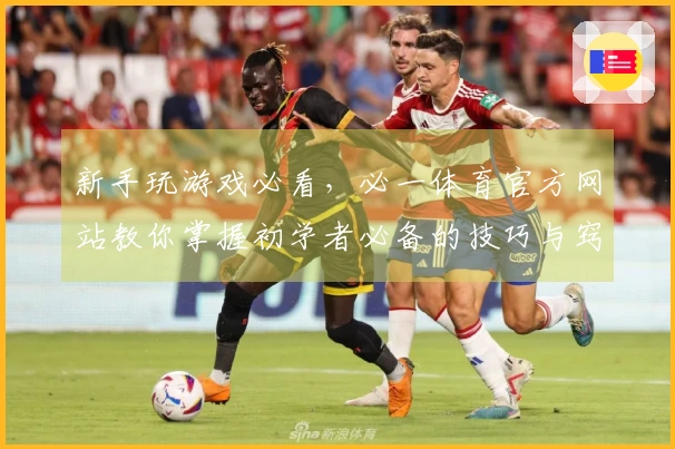 新手玩游戏必看，必一体育官方网站教你掌握初学者必备的技巧与窍门